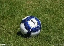 识别黄金曼,特宁,与普通曼特,大发彩票,大发彩票官方平台,大发彩票APP下载,大发彩票开奖结果,大发彩票正规