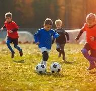 醉彩双色球,期必中首选,揭秘,大发彩票,大发彩票官方平台,大发彩票APP下载,大发彩票开奖结果,大发彩票正规