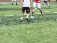 双色球,期智选秘籍,一码领先,大发彩票,大发彩票官方平台,大发彩票APP下载,大发彩票开奖结果,大发彩票正规