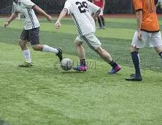 荣耀鸟翔,期大乐透红,球精准预测,大发彩票,大发彩票官方平台,大发彩票APP下载,大发彩票开奖结果,大发彩票正规