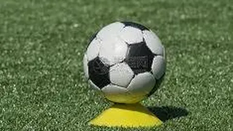 蓉城之战，海港客场能否破解“凤凰山魔咒”？茹萨缺阵，穆斯卡特有何良策？