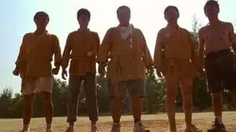 【精选攻略】26016期大乐透胆拖号码精准预测，勤能补拙，好运相伴！